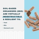 ancient-nutrition-sbo-ultimate-probiotic-6.jpg