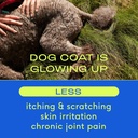 native-pet-omega-oil-for-dogs---dog-fish-3.jpg