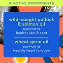 native-pet-omega-oil-for-dogs---dog-fish-4.jpg