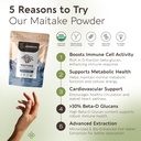 longevity-botanicals-organic-maitake-mus-2.jpg