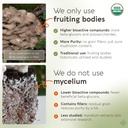 longevity-botanicals-organic-maitake-mus-3.jpg