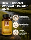 humic-and-fulvic-mineral-immune-boost-ra-3.jpg
