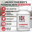 10x-health-berberine-supplement-500mg----5.jpg