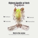 triphala-capsules-extract-ratio-81-40-am-6.jpg