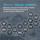 shilajit-gummies-shilajit-gummies-with-8-5.jpg