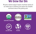 om-mushroom-superfood-master-blend-mushr-4.jpg