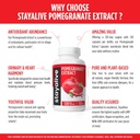 stay-alive-pomegranate-extract-capsules--4.jpg