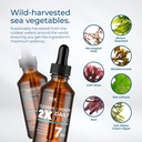 cleanse-renew---liquid-superfood---gut-h-4.jpg