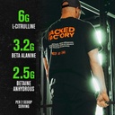 jacked-factory-nitrosurge-pre-workout-su-6.jpg