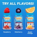 emergen-c-immune-elderberry-gummies-750--6.jpg