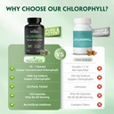 chlorophyll-capsules-1000mg---100-natura-2.jpg