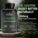 chlorophyll-capsules-1000mg---100-natura-6.jpg