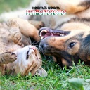 sun-chlorella-sun-pet-treats-green-super-5.jpg