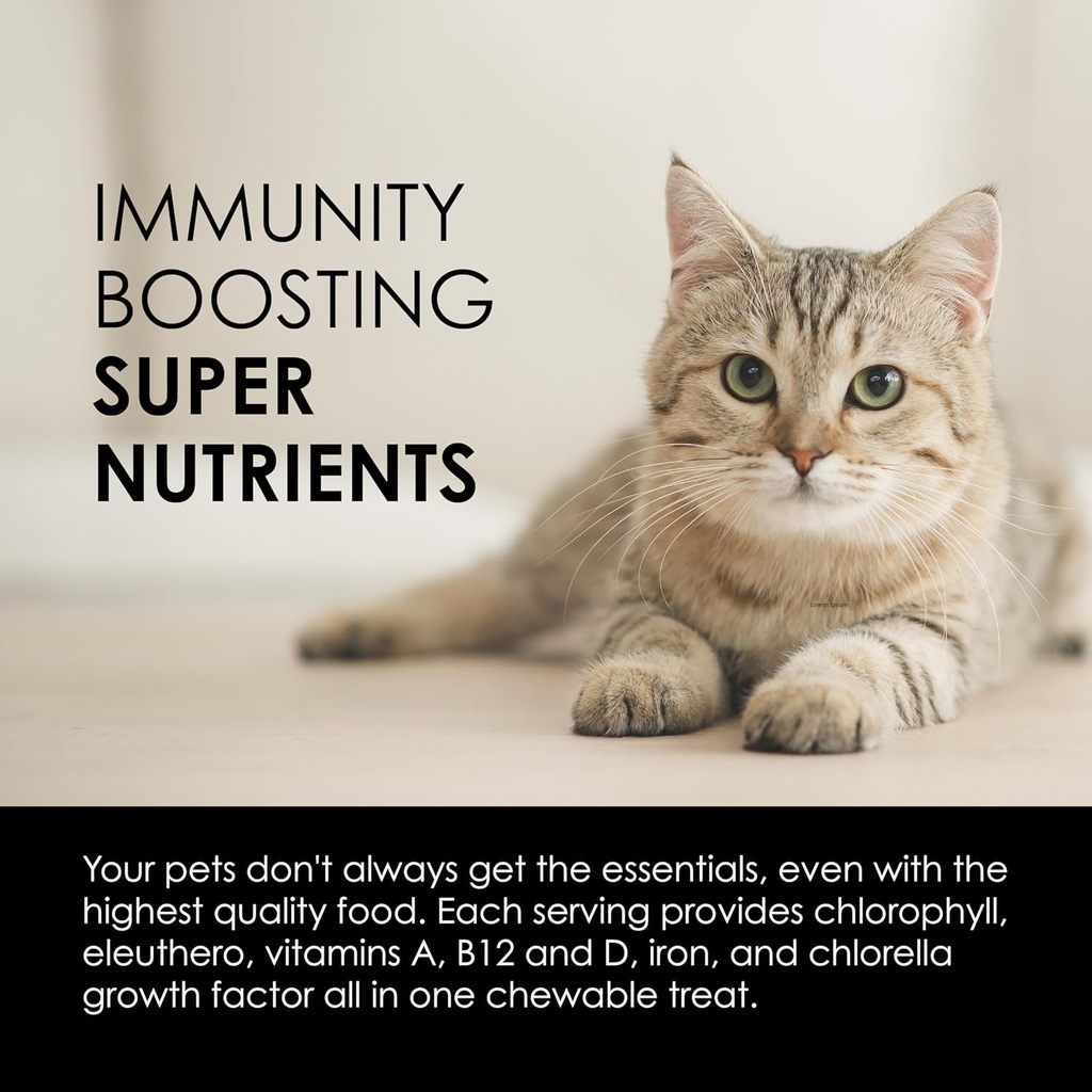 sun-chlorella-sun-pet-treats-green-super-6.jpg
