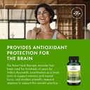 swanson-bacopa-monnieri-extract-bacogniz-6.jpg