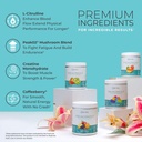one-sol-pre-workout-for-women-enhanced-p-4.jpg