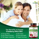 zazzee-urinary-tract-cleanse-support-bun-4.jpg