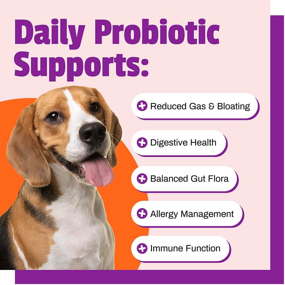 pet-naturals-daily-probiotic-chews-for-d-4.jpg