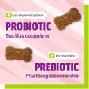 pet-naturals-daily-probiotic-chews-for-d-5.jpg