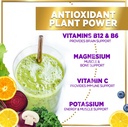 super-green-powder-superfood---spirulina-3.jpg