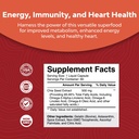 bundle-of-advanced-brain-supplement-with-3.jpg