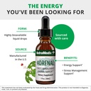 nutramedix-energy-support-bundle-include-2.jpg