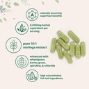 moringa-oleifera-6000mg-equivalent-300-c-6.jpg