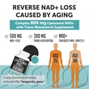 liposomal-nad-800-mg-with-trans-resverat-4.jpg