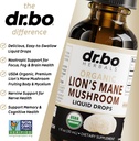 lions-mane-mushroom-supplement-drops---o-4.jpg