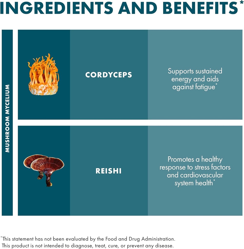 host-defense-cordychi-extract---energy-i-4.jpg