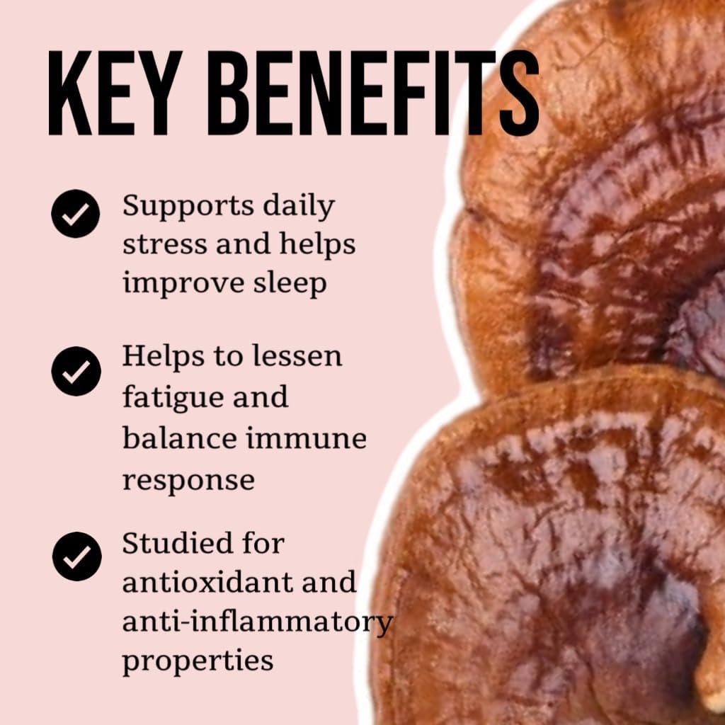 north-spore-organic-reishi-mushroom-tinc-4.jpg