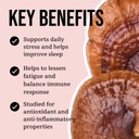 north-spore-organic-reishi-mushroom-tinc-4.jpg