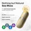 bio-krauter-irish-sea-moss-capsules-1600-6.jpg