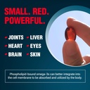 labo-nutrition-perfect-krill-ex-1000mg-a-4.jpg