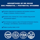 dog-prenatal-vitamins-the-only-2in1-pren-5.jpg