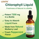 lovita-chlorophyll-liquid-120mg-per-ml-h-3.jpg