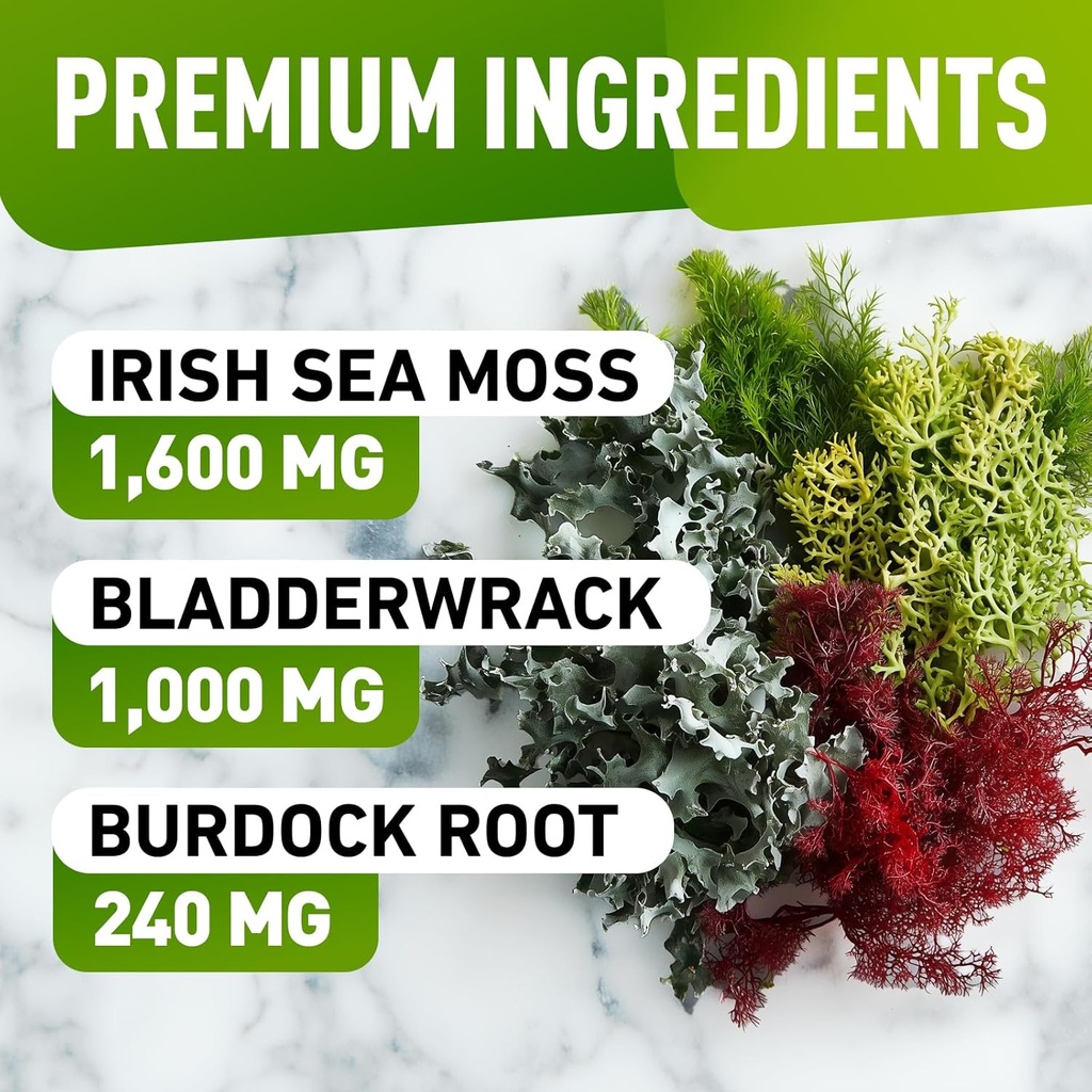 sea-moss-gummies---wildcrafted-irish-sea-2.jpg