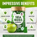 sea-moss-gummies---wildcrafted-irish-sea-4.jpg