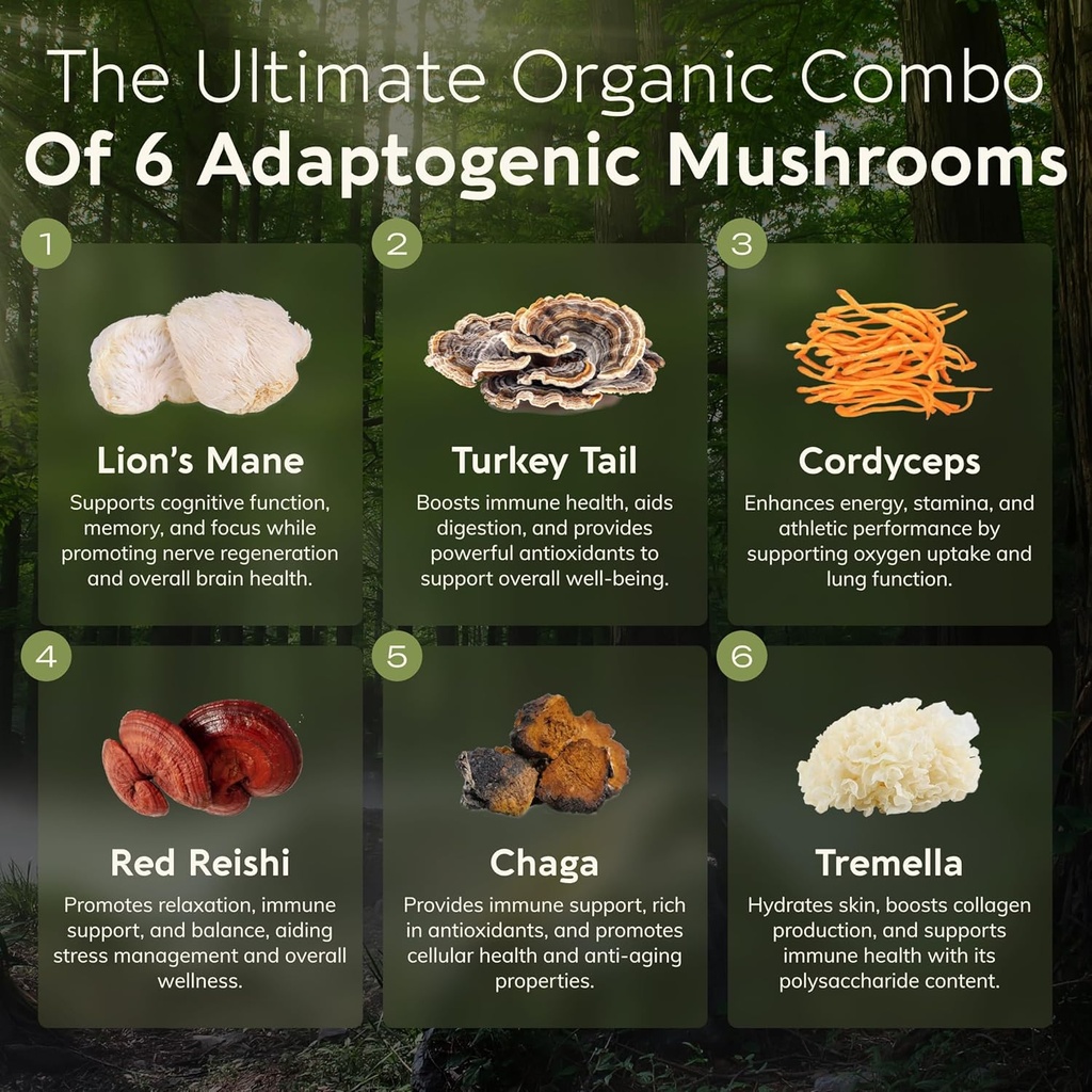 longevity-botanicals-super-six-mushroom--3.jpg