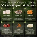 longevity-botanicals-super-six-mushroom--3.jpg