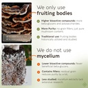 longevity-botanicals-super-six-mushroom--5.jpg