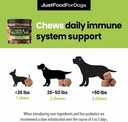 justfoodfordogs-skin-allergy-care-soft-c-6.jpg