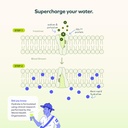 cheers-hydrate-oral-rehydration-solution-4.jpg