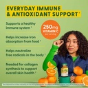megafood-complex-c---vegan-immune-suppor-3.jpg