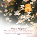 nootropics-depot-apigenin-capsules-200mg-3.jpg