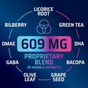 brain-memory-supplement---3x-strength-no-5.jpg
