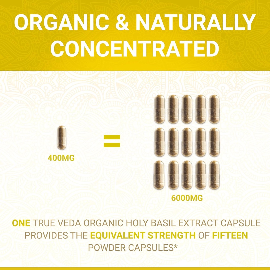 holy-basil-capsules---usda-organic-vitam-2.jpg