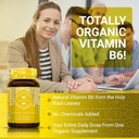 holy-basil-capsules---usda-organic-vitam-3.jpg