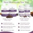 real-mushrooms-chaga-mushroom-capsules-o-6.jpg