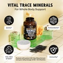 maju-superfoods-18-in-1-sea-moss-black-s-3.jpg